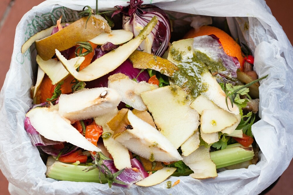 Smart Ways to Reduce Food Waste at Home (Plus Five Zero-Waste Recipes)