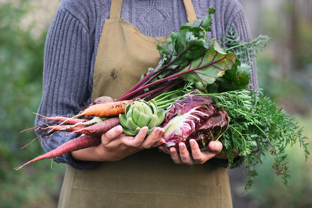 The 14 Healthiest Vegetables & Their Surprising Benefits